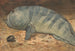 Side view of a fish - Willem Witsen — artwork view