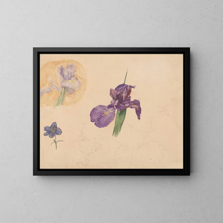 Studies of an iris and a delphinium - Willem van Konijnenburg — framed artwork on a wall