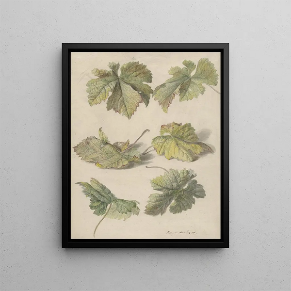 Studies of Grape Leaves - Willem van Leen — framed artwork on a wall