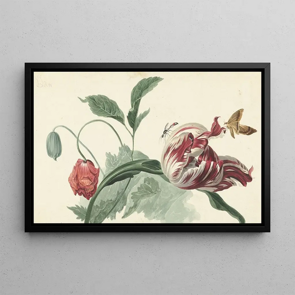 Tulip and Poppy - Willem van Leen — framed artwork on a wall