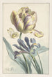 Tulip and Iris Painting - Willem van Leen — artwork view