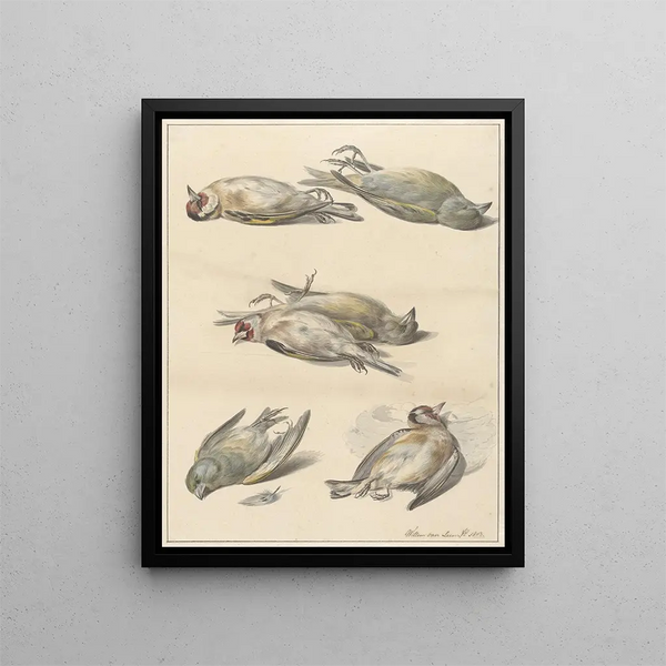 Six Dead Birds - Willem van Leen — framed artwork on a wall