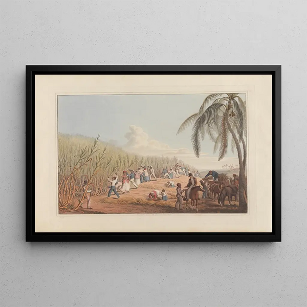 Sugarcane Harvest Painting - William A V Clark — framed artwork on a wall