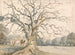 View of a park with deer - William Byron — artwork view