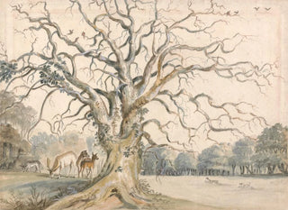 View of a park with deer - William Byron — artwork view