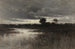 In the Marshes - William Crothers Fitler — artwork view