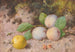 Prunes and Apple - William Cruickshank — artwork view