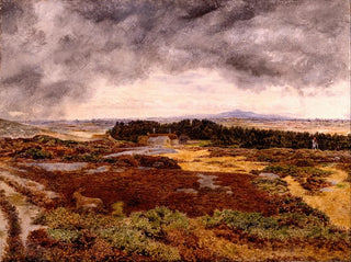 View from Bidston Hill - William Davis — artwork view
