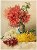 Chrysanthemums - William Duffield — artwork view