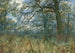 Trees and Underbrush - William Fraser Garden — artwork view