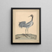 A crane - William Hayes — framed artwork on a wall