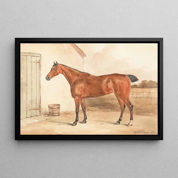 Ultima, one of Lord Maynard's mares - William Henry Davis — framed artwork on a wall
