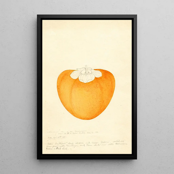 Diospyros Among - William Henry Prestele — framed artwork on a wall