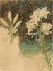 Study of the Lily for the May Morning on the Tower of the Madeleine - William Holman Hunt — artwork view