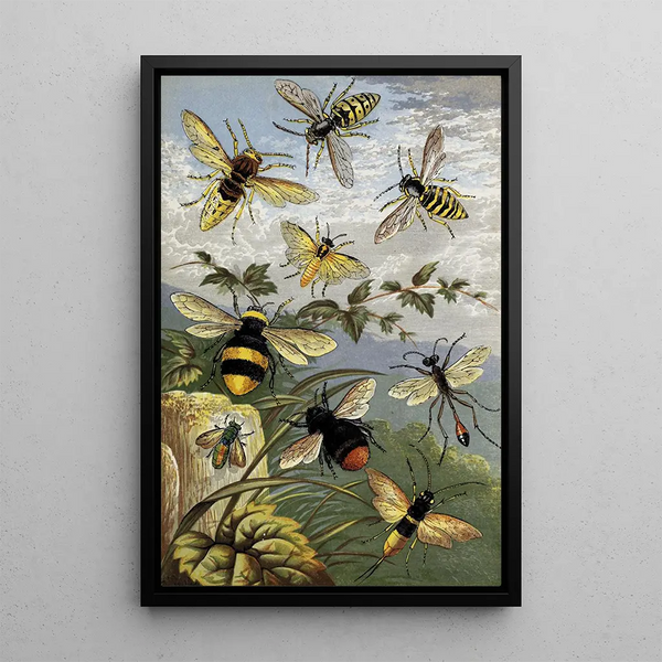 Hyménoptères - William Houghton — framed artwork on a wall