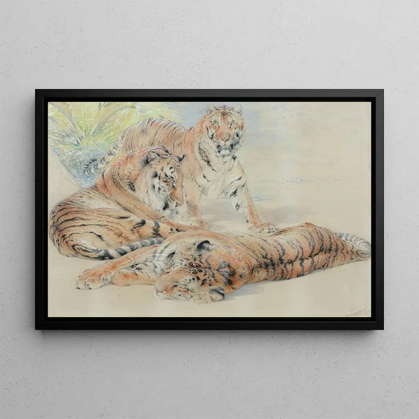 Study of Tigers - William Huggins — framed artwork on a wall