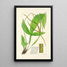 A Century of Ferns Pl07 - William Jackson Hooker — framed artwork on a wall