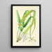 A Century of Ferns Pl14 - William Jackson Hooker — framed artwork on a wall