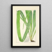 A Century of Ferns Pl26 - William Jackson Hooker — framed artwork on a wall