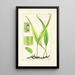A Century of Ferns Pl52 - William Jackson Hooker — framed artwork on a wall