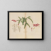 Cactus truncated - William Jackson Hooker — framed artwork on a wall