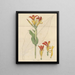 An Open Cane - William Jackson Hooker — framed artwork on a wall