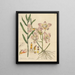 Dendrobium calceolaria - William Jackson Hooker — framed artwork on a wall