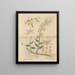 Dendrobium pierardi - William Jackson Hooker — framed artwork on a wall