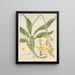 Dendrobium pubescens - William Jackson Hooker — framed artwork on a wall