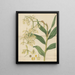 Épidendrum penché - William Jackson Hooker — framed artwork on a wall