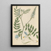 Galega tricolor Painting - William Jackson Hooker — framed artwork on a wall
