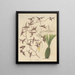 Gongora atropurpurea - William Jackson Hooker — framed artwork on a wall