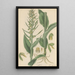 Habenaria bracteata - William Jackson Hooker — framed artwork on a wall