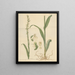 the expanded assets - William Jackson Hooker — framed artwork on a wall