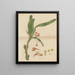Ornithidium cramoisi - William Jackson Hooker — framed artwork on a wall