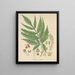 Paullinia meliifolia - William Jackson Hooker — framed artwork on a wall