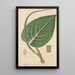 Peperomia maculosa - William Jackson Hooker — framed artwork on a wall