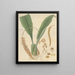 Pholidota imbricata - William Jackson Hooker — framed artwork on a wall