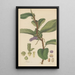 Pothos violacea - William Jackson Hooker — framed artwork on a wall