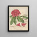 Rhododendron arboreum - William Jackson Hooker — framed artwork on a wall