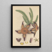 Stapelia hirsuta - William Jackson Hooker — framed artwork on a wall