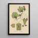 Trichomanes membranacea - William Jackson Hooker — framed artwork on a wall