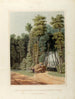 An accident de la route: an overview of an opening in the primitive forest - William James Bennett — artwork view