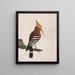 Sleep of the Common - William Lewin — framed artwork on a wall