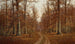 Beech Trees - William Mckendree Snyder — artwork view