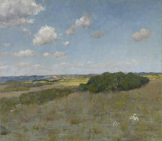Light and shadow at Shinnecock Hills - William Merritt Chase — artwork view