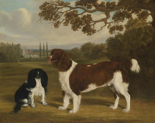 A toy spaniel and a springer spaniel in a landscape with a church in the distance - William Nedham — artwork view