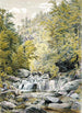 Catskill Clove - William Rickarby Miller — artwork view