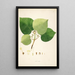 Plants of the Coromandel Coast Pl053 - William Roxburgh — framed artwork on a wall