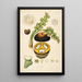 Plants of the Coromandel Coast Pl072 - William Roxburgh — framed artwork on a wall